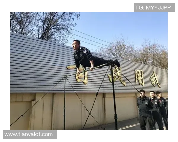 深圳乒乓球队奋斗历程的真实记录与精神传承